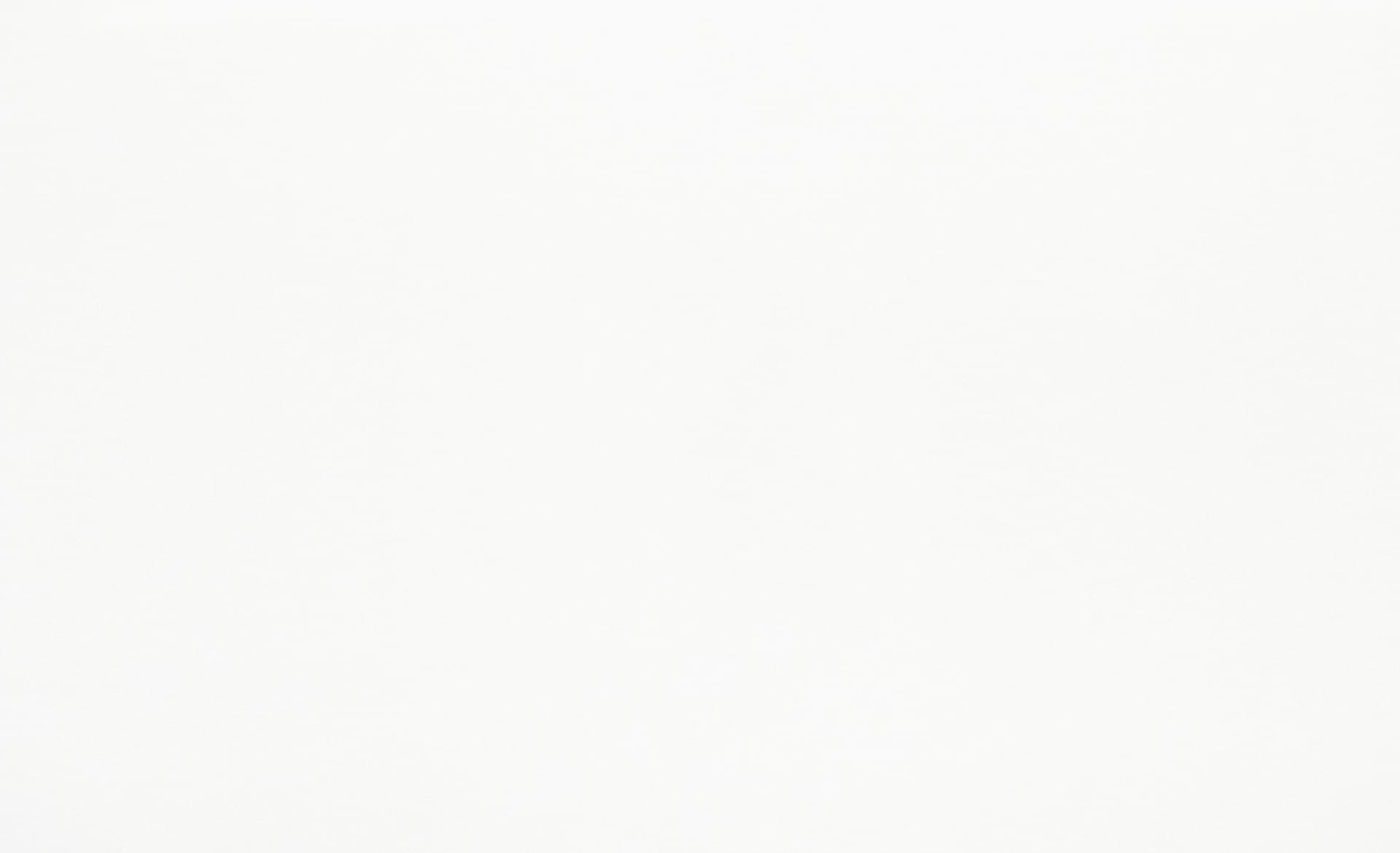 Prime Marble | Arctic White